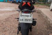 Bajaj Pulsar N250 2024