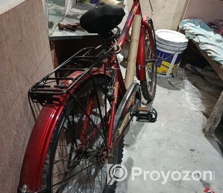 Bicycle for Sale