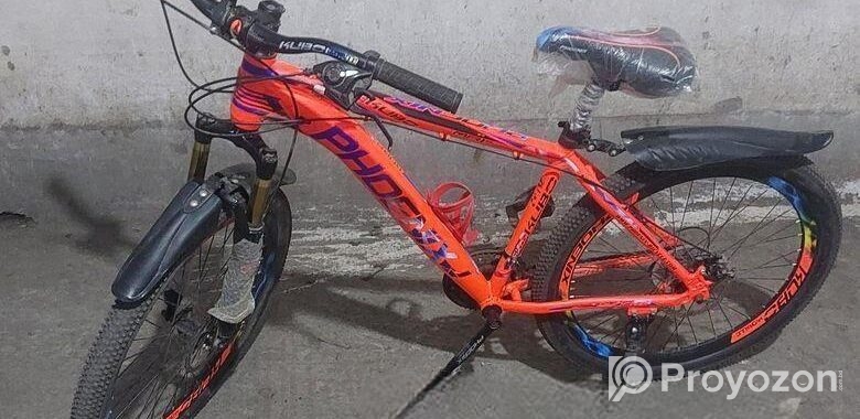 Phoenix Bicycle for sale