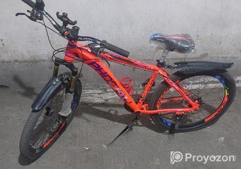 Phoenix Bicycle for sale