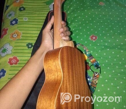 Guitar for sell