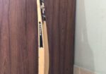HAMMER LEGEND (Cricket Bat)