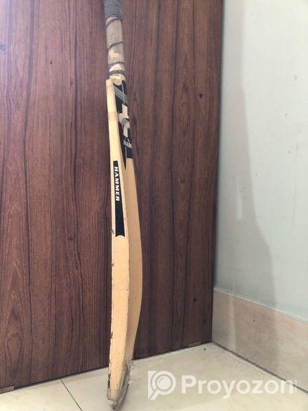 HAMMER LEGEND (Cricket Bat)