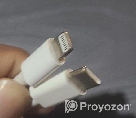 I phone Cable