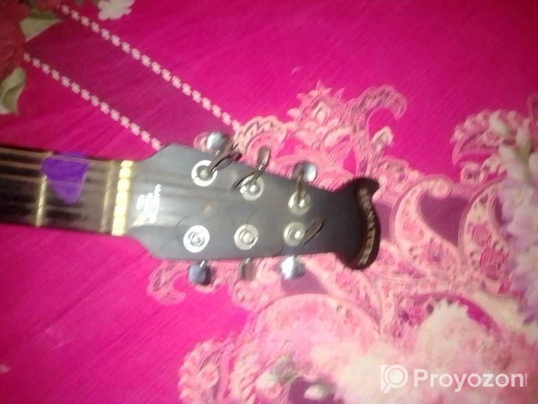 সিগনেচার গীটার ইউজ করা সেমি ইলেকট্রিক