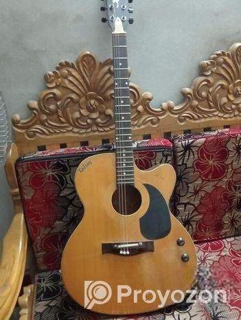 গিটার বিক্রি হবে