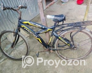 fitted-40_2025-07-23_13-08-47