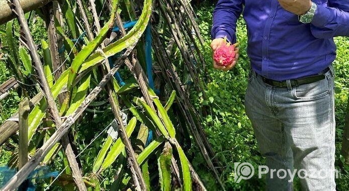 জমি বিক্রয় হবে – ইছর কান্দি-গাজীপুর – (IUT থেকে মা