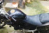 Runner KnightRider 2021