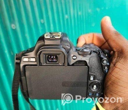 Canon EOS 250D | 85mm Lens