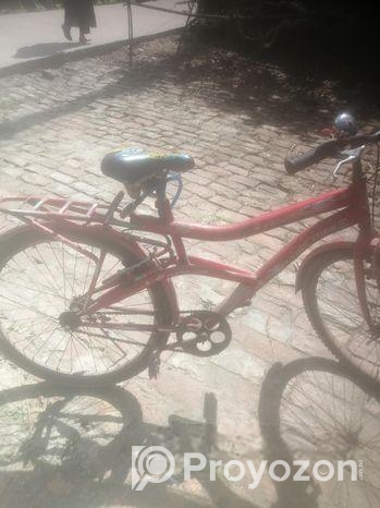 বাই সাইকেল