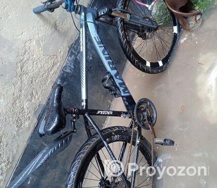 Bicycle for sale