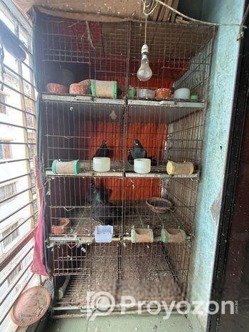 কবুতরের খাঁচা বিক্রি হবে