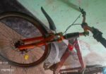 Cycle For sale