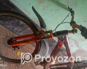 fitted-45_2025-07-29_10-13-42