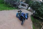 Yamaha R15 2023