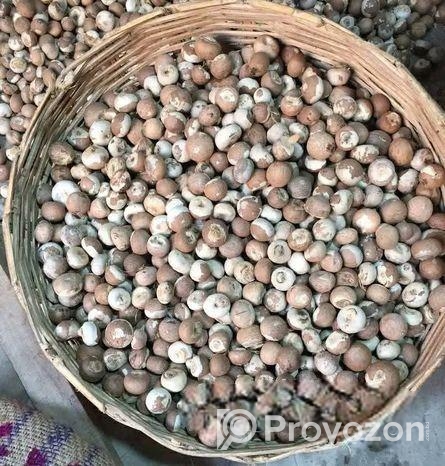 সুপারি