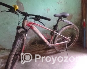 fitted-46_2025-07-23_17-18-00