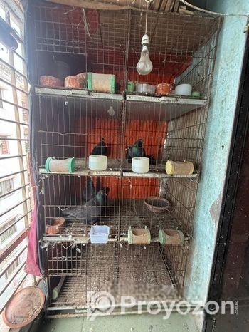 কবুতরের খাঁচা বিক্রি হবে