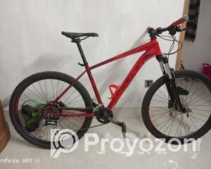 fitted-46_2025-07-27_09-58-35