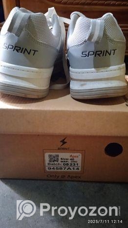 Sprint – Apex কেস