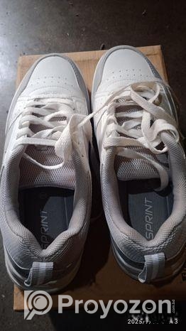 Sprint – Apex কেস