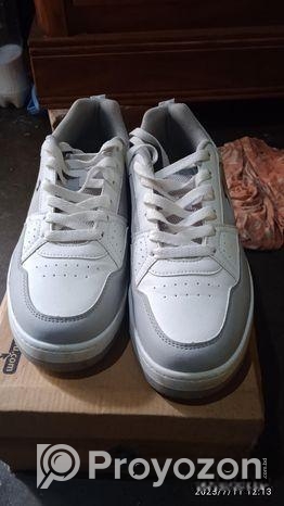 Sprint – Apex কেস