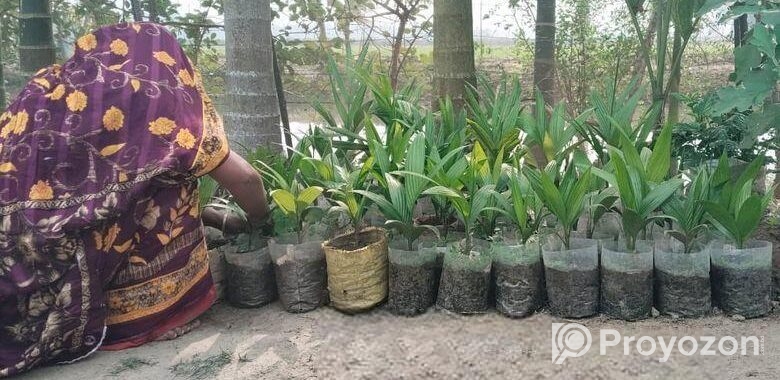 সব চারা ও বীজ বিক্রি করা হয়।