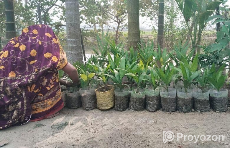 সব চারা ও বীজ বিক্রি করা হয়।