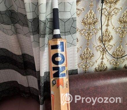 ton cricket bat