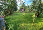 6.8 Sohok Land sale