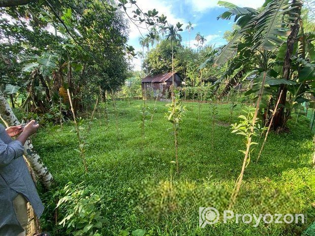 6.8 Sohok Land sale