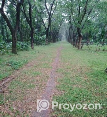 আশুলিয়া “নাভানা ভ্যালী” প্রকল্পে ২.৫০ কাঠা সাইজ
