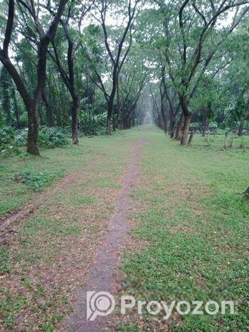 আশুলিয়া “নাভানা ভ্যালী” প্রকল্পে ২.৫০ কাঠা সাইজ