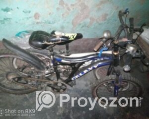 fitted-4_2025-07-29_09-16-05