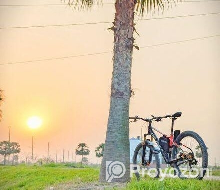 ইমারজেন্সি সেল করা হবে
