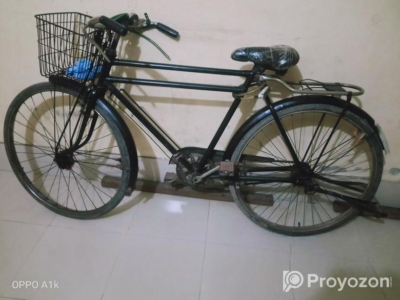 Phoenix Bicycle for sale