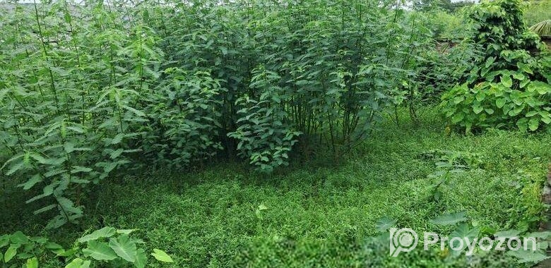 Land For Sell
