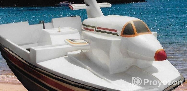Airplane Paddle Boat