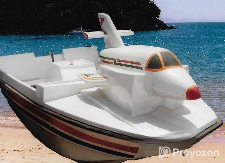 Airplane Paddle Boat