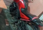 Honda Hornet . 2019