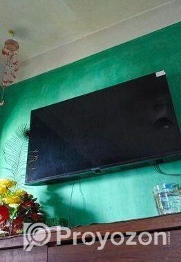 Golden star 43″