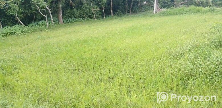 5 কাঠা বাঘা জমি বিক্রি হবে