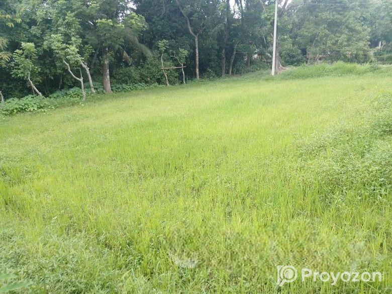 5 কাঠা বাঘা জমি বিক্রি হবে