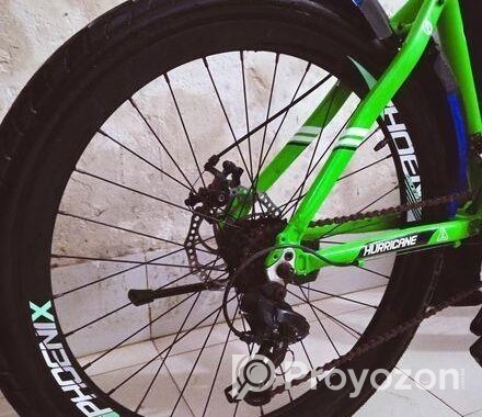 Phoenix Bicycle for sale