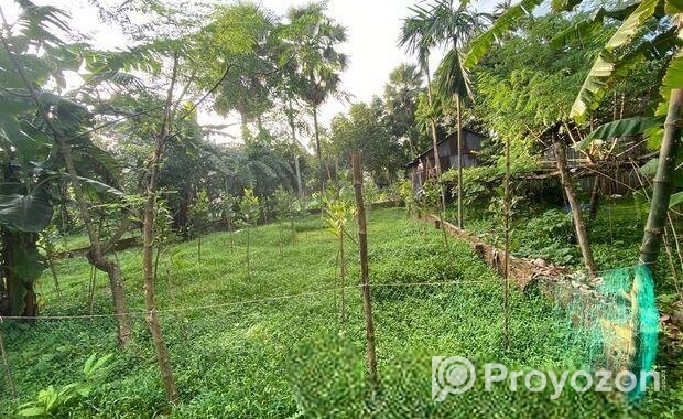 6.8 Sohok Land sale