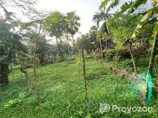 6.8 Sohok Land sale