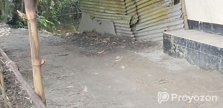 5 কাঠা বাঘা জমি বিক্রি হবে