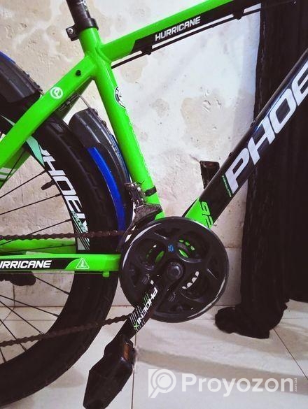 Phoenix Bicycle for sale