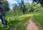 6.8 Sohok Land sale